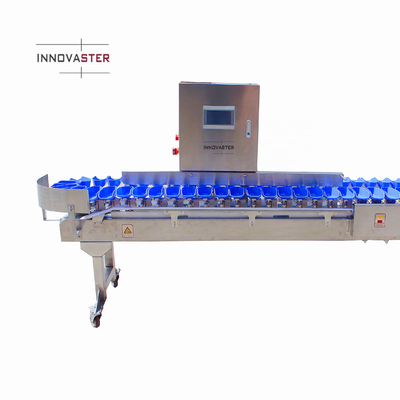Streamline Your Oyster Fish Sorting Process with Multi-Tray Weight Sorting Machine