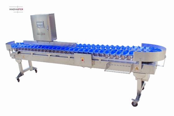 Streamline Your Oyster Fish Sorting Process with Multi-Tray Weight Sorting Machine
