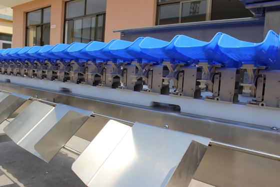 Streamline Your Oyster Fish Sorting Process with Multi-Tray Weight Sorting Machine