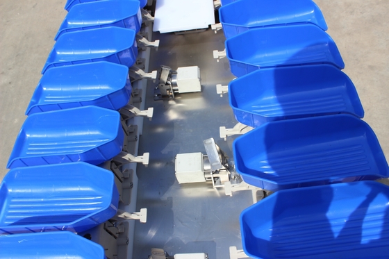 Streamline Your Oyster Fish Sorting Process with Multi-Tray Weight Sorting Machine