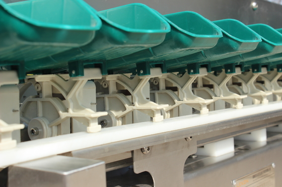 Streamline Your Oyster Fish Sorting Process with Multi-Tray Weight Sorting Machine