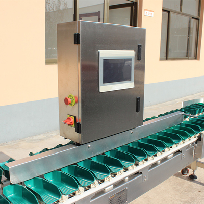 Stainless Steel Grading Size Automatic Chicken Weight Sorting Machine for Sorting