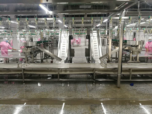High Speed Multi-Tray Rotary Weight Oyster Fish Sorting Machine for Meat Processing