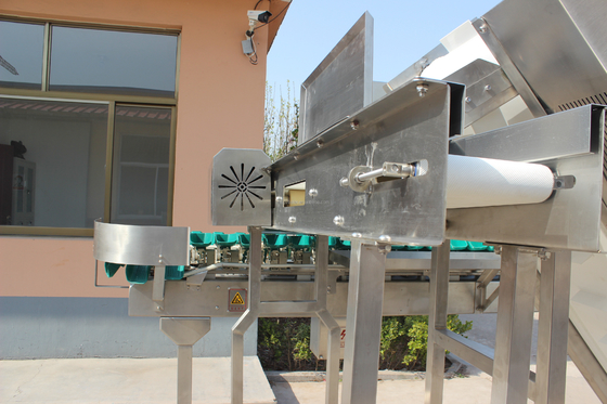 High Speed Multi-Tray Rotary Weight Oyster Fish Sorting Machine for Meat Processing