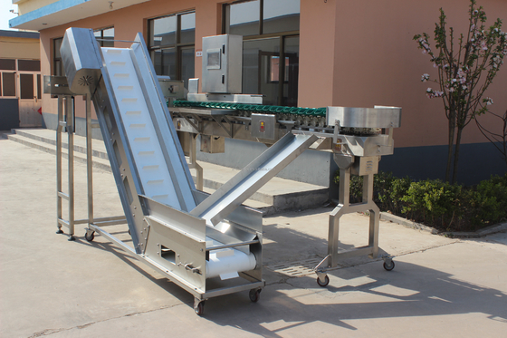 High Speed Multi-Tray Rotary Weight Oyster Fish Sorting Machine for Meat Processing