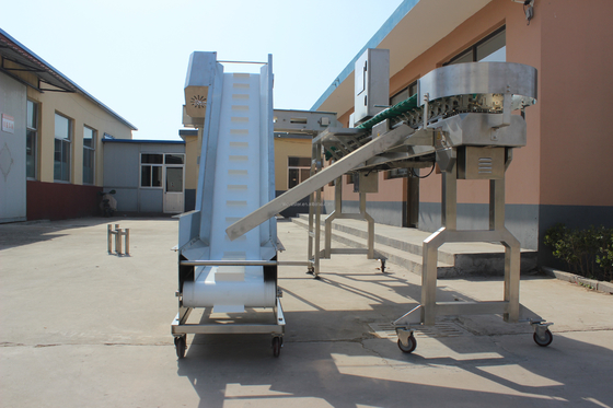 High Speed Multi-Tray Rotary Weight Oyster Fish Sorting Machine for Meat Processing