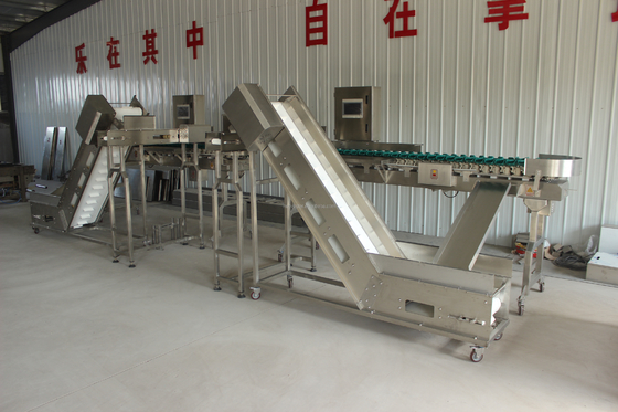 High Speed Multi-Tray Rotary Weight Oyster Fish Sorting Machine for Meat Processing