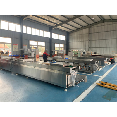 Depends on Model Chamber Forming Vacuum Packaging Machine for Seafood Meat and Rice
