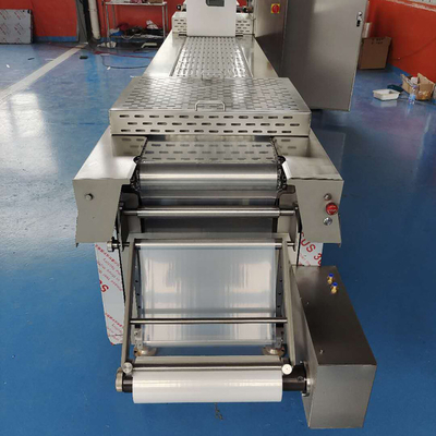 Panasonic Frequency Converter Automatic Continuous Vacuum Thermoforming Sealing Machine