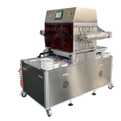 Plastic Vacuum Packing Machine for Keep Fresh Modified Atmosphere VSP Technology