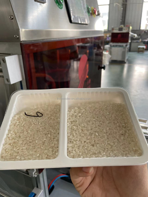 Plastic Vacuum Packing Machine for Keep Fresh Modified Atmosphere VSP Technology