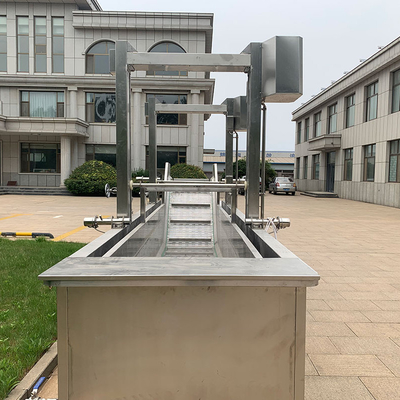 Customized Stainless Steel Automatic Vegetable Fruit Blanching Precooking Machine