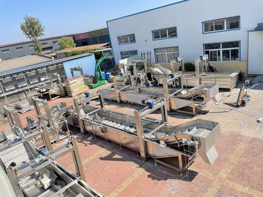 Easy Operation Gantry Lifting Defrost Machine for Chicken Leg Chicken Wing Fish Shrimp